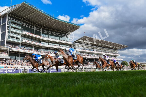 yr19082022r6-32 - Race 6 4.45 pm British Stallion Studs EBF Convivial Maiden Stakes