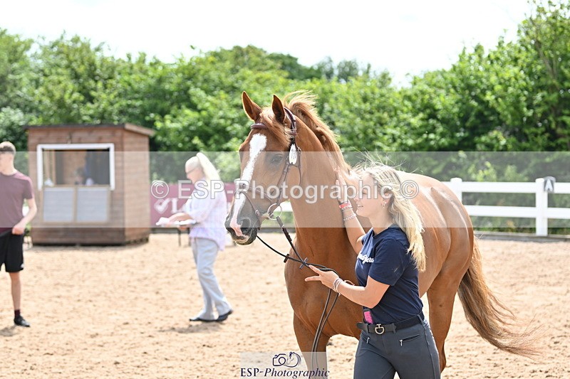 240717A-144409-02254 - Trot Up 2pm to 3pm - This folder is not in time order