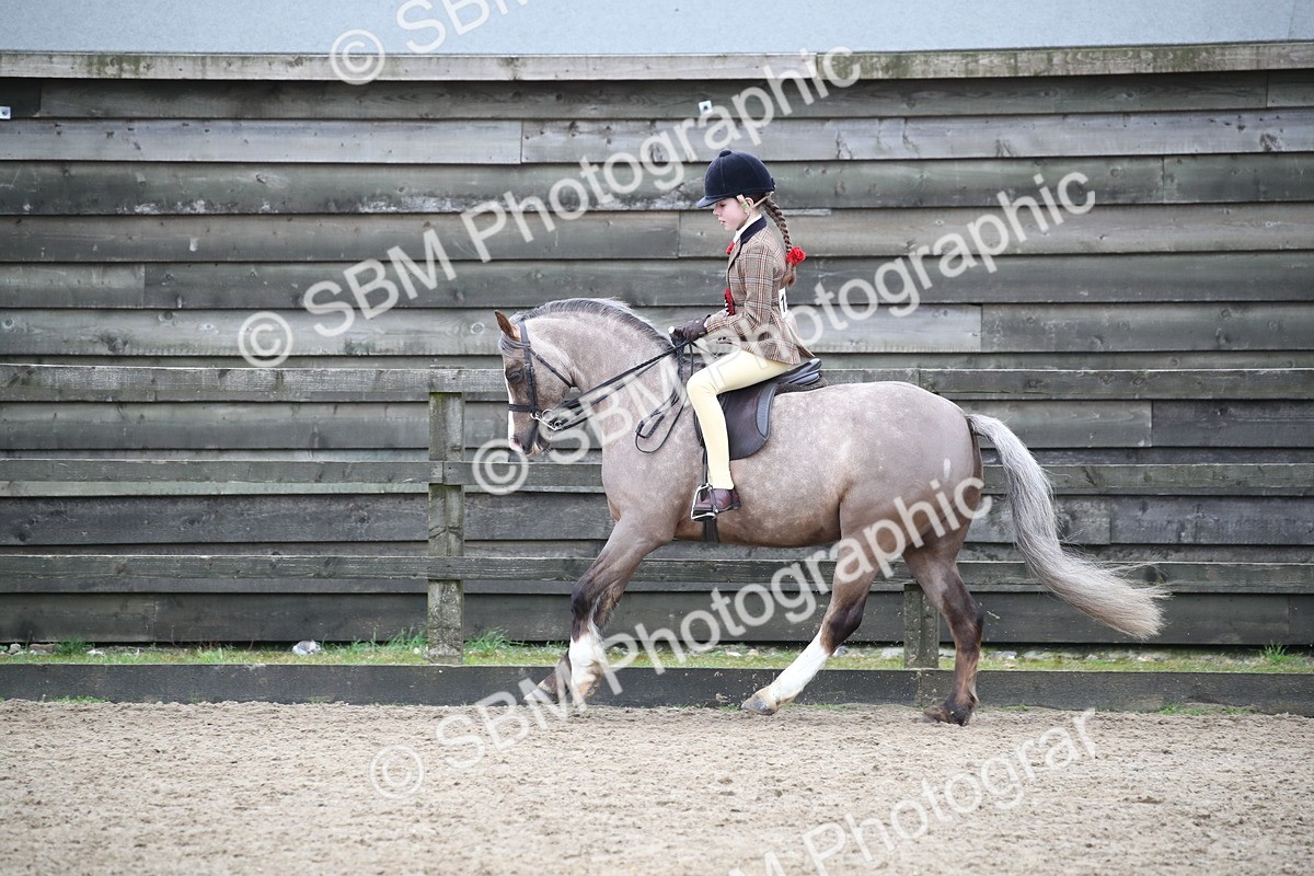 SBM_007082 - Class 10-13 - RIHS Small Large Breeds