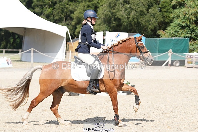 250821A-145956-17391 - WC Round 2 14.00 to End