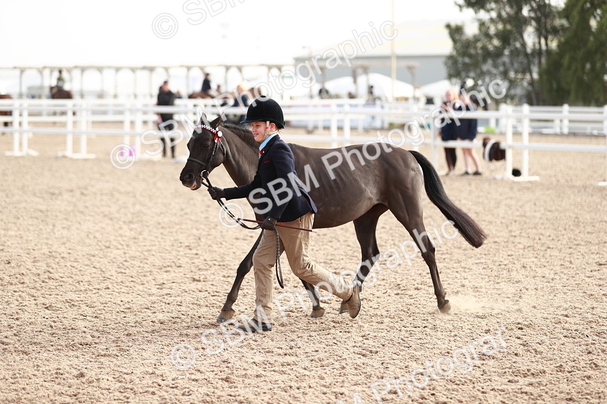 SBM_10607 - Class 204 Young Handler, 11-16 years