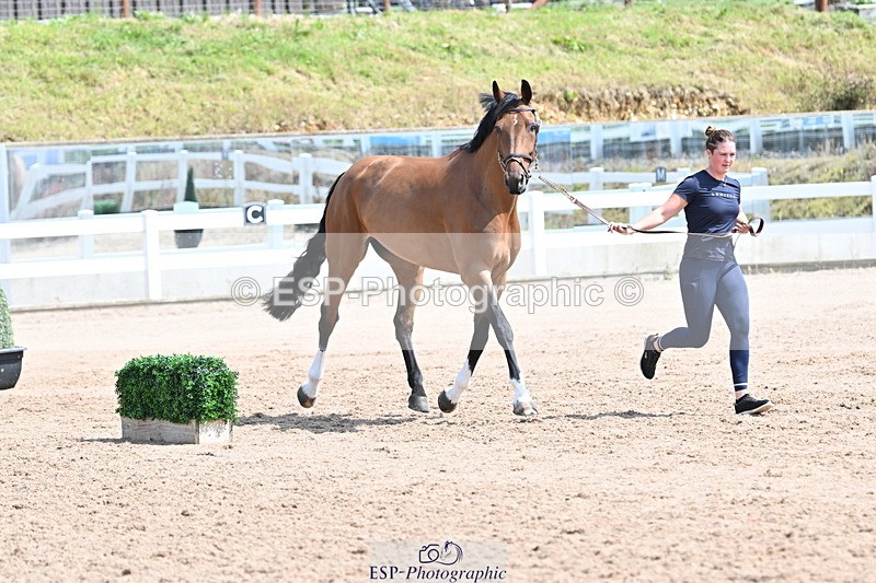 240717A-150425-02502 - Trot Up 3pm to 4pm