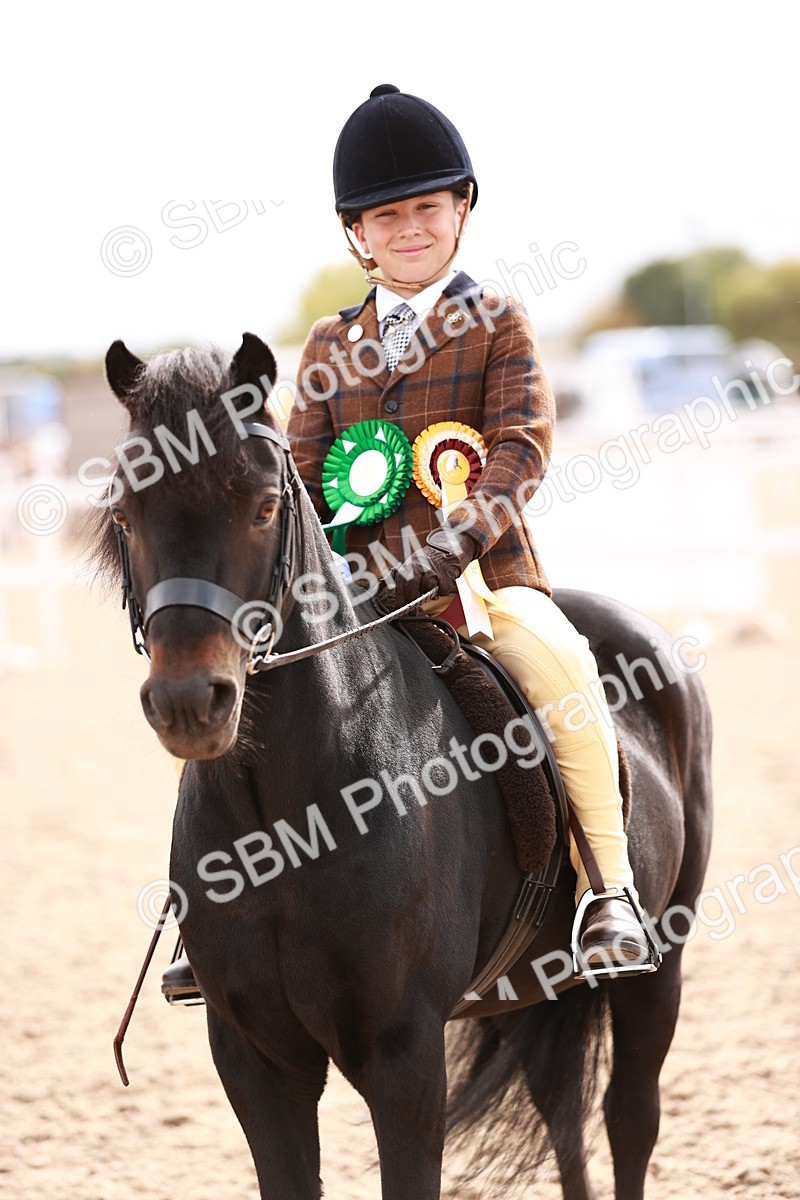 SBM_18340 - Class 417 - Handsome Gelding (IH or Ridden - JNR)