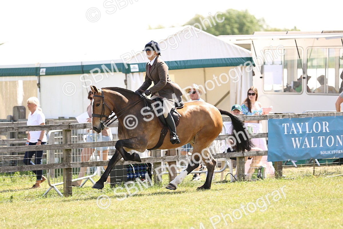 SBM_13761 - Class 77 - LIHS BSHA Rising Star Cobs