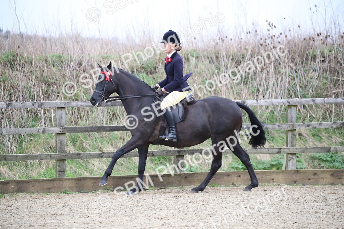 SBM_004715 - Class 5-9 - NPS In Hand-Show Hunter-Intermediate Ridden Inc Ridden Championship