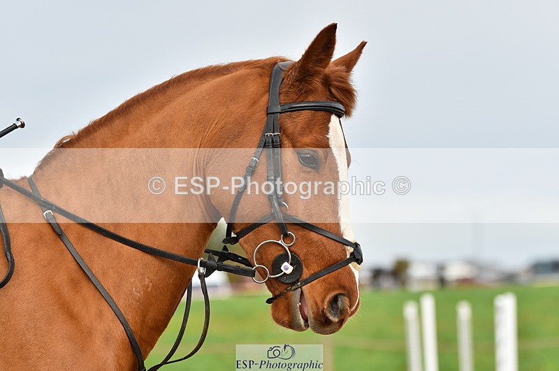 231118A-113050-01289 - Cls 20+21 Club and Schools 80cm