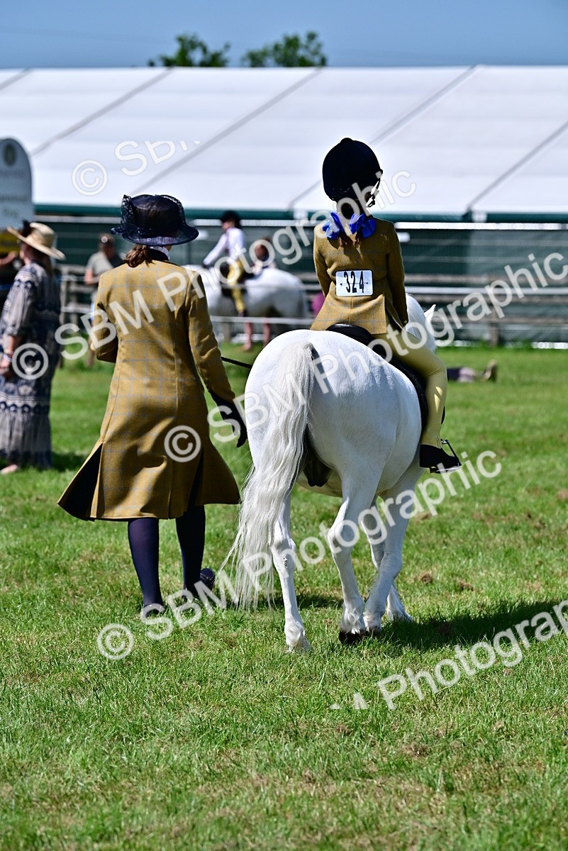 SBM_05911 - Class 59-60 - TSR M&M  Lear Rein and First Ridden Amateur of the year