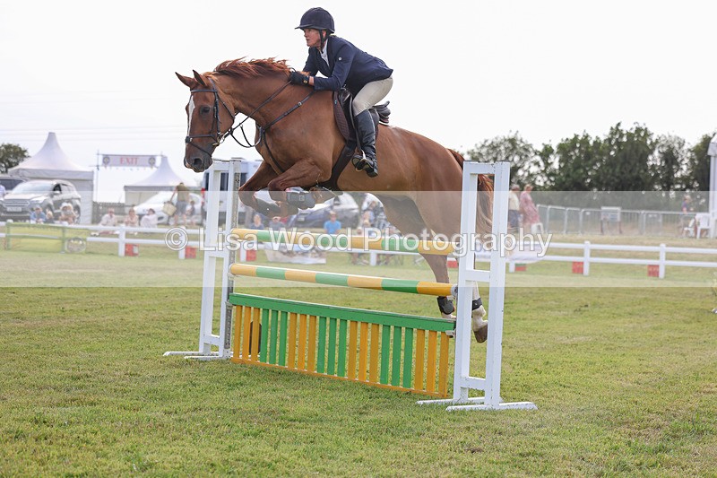 3E7A0863 - Class C: Showjumping Senior Foxhunter