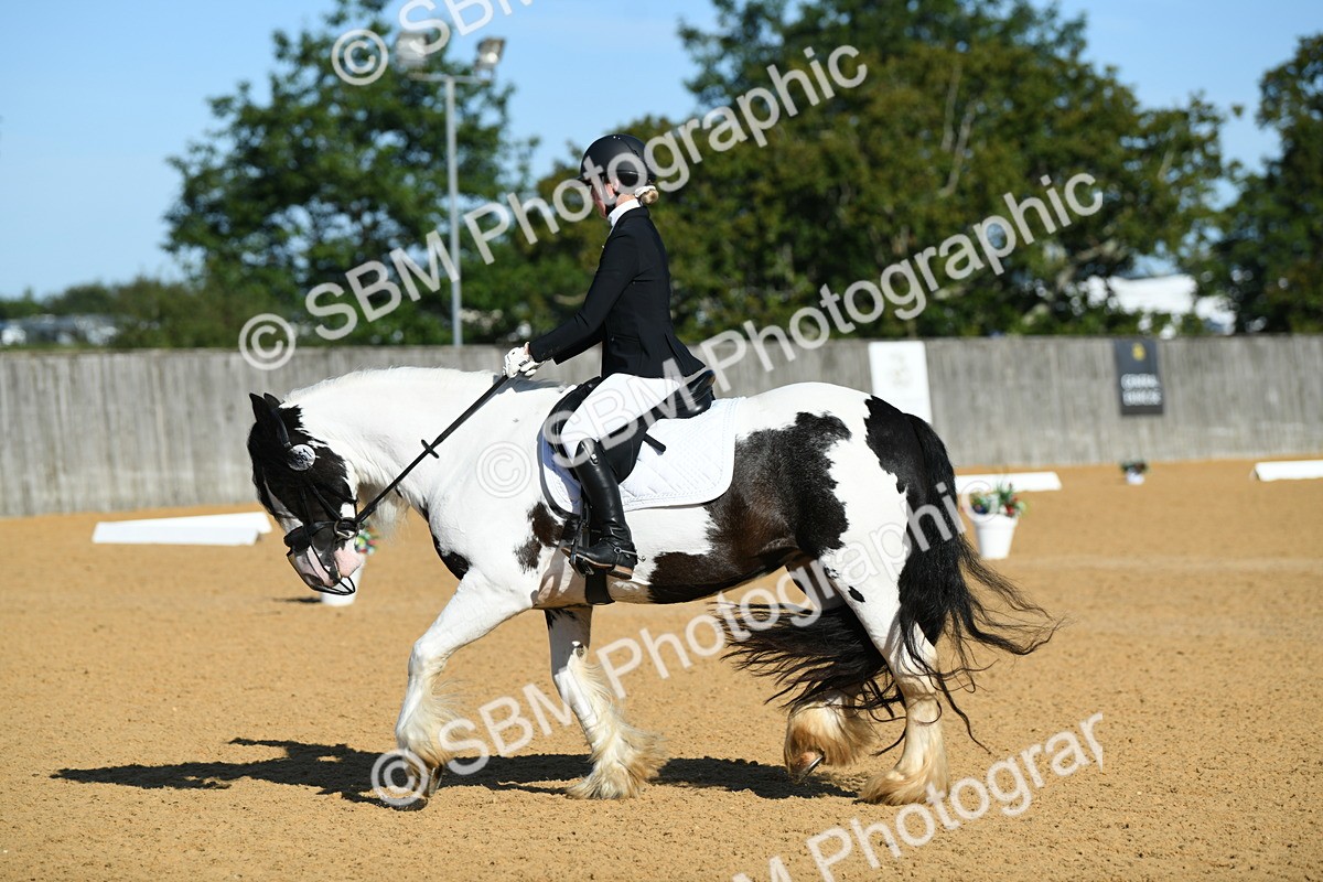 SBM_16285 - D4 - Small Tour Championship - Intro B