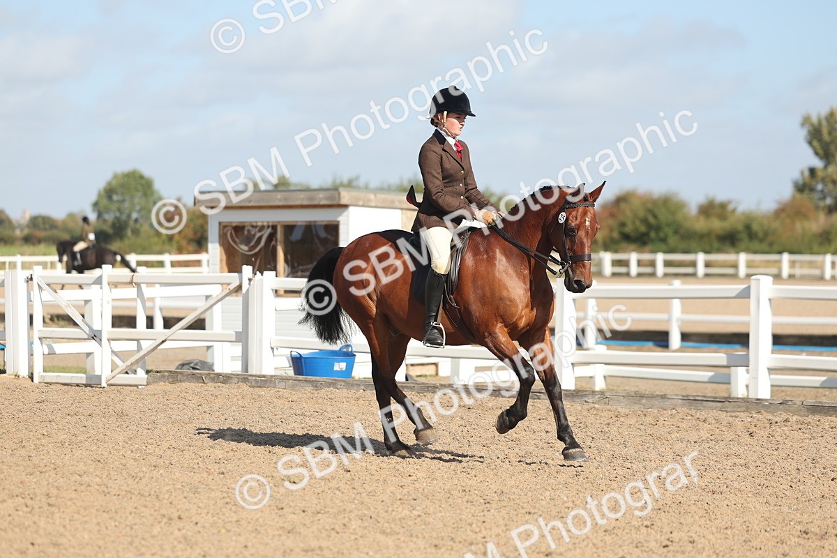 SBM_22603 - Class 804 - Ridden Veteran Pony