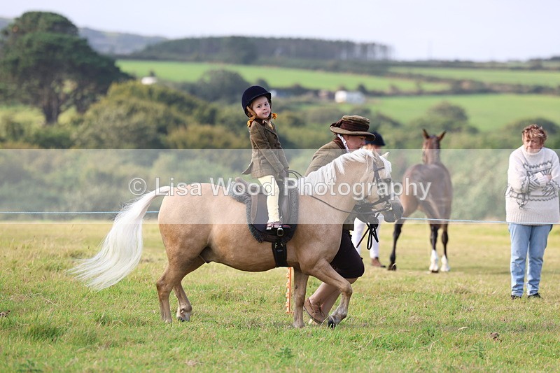 3E7A3449 - Class 2: Lead rein