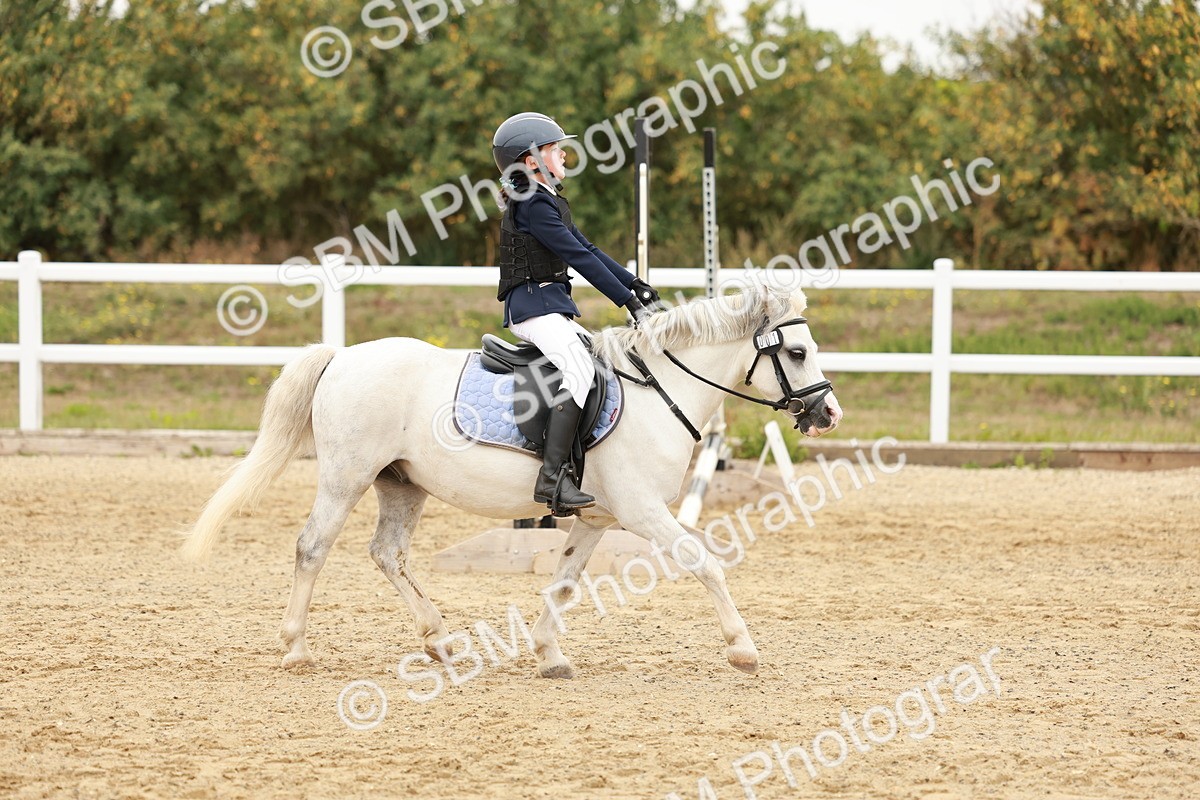 SBM_007160 - Class 2 - 50cm