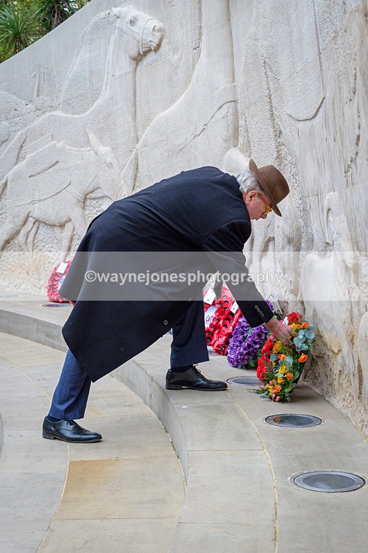 NGP_8227 - 2024 Animals in War Remembrance Gathering