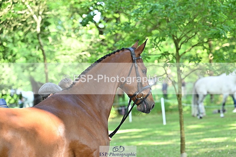 250521A-161944-01064 - C-267-Jeanette.Brakewell-PRIMIRO