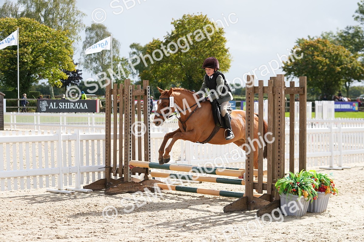 SBM_40772 - Supreme Championship Pony 50-55cm