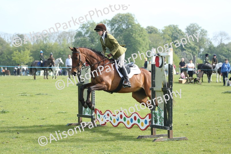 20260426-0090 - Class 13 - Rookie Jumping 50cm