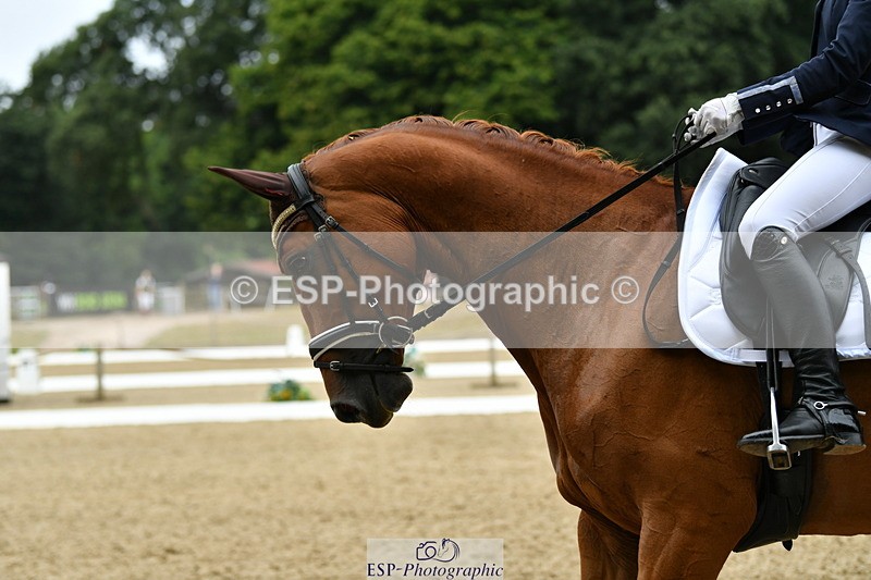 250718A-110149-00365 - 112-Amelia.Antippas-Romanno.Lady.Gaga