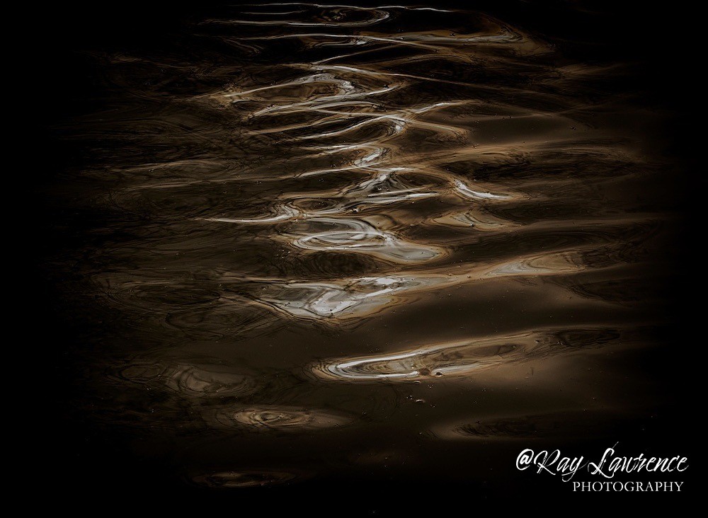 Reflections_25220_RLP0101 - Double Take