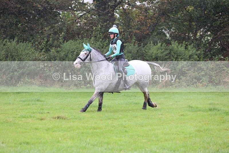 JPP_5419 - Class 4: 80cm: Crossed Logs