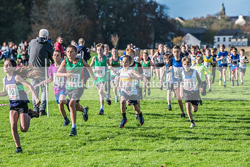 Cumbria XC-67 - Cumbria XC League Workington Saturday 26th October 2024