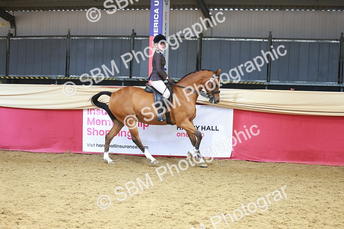 SBM_12452 - Class 103 - HOYS Veteran Qualifier - Ridden Pre Vet