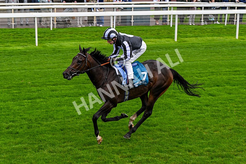 060926-Race 1-Mezzo Forte-0056 - Race 1 1.30pm Irish Thoroughbred Marketing 'Confined' EBF Maiden Stakes