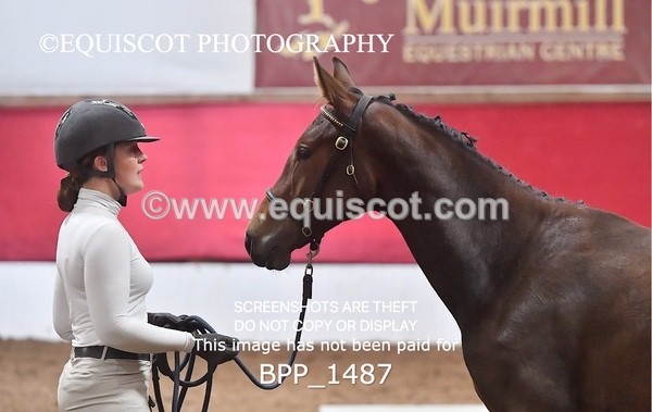 BPP_1487 - MORNING 9AM - 12PM