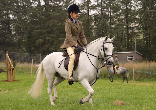 8 - Moniaive Horse Show 2008