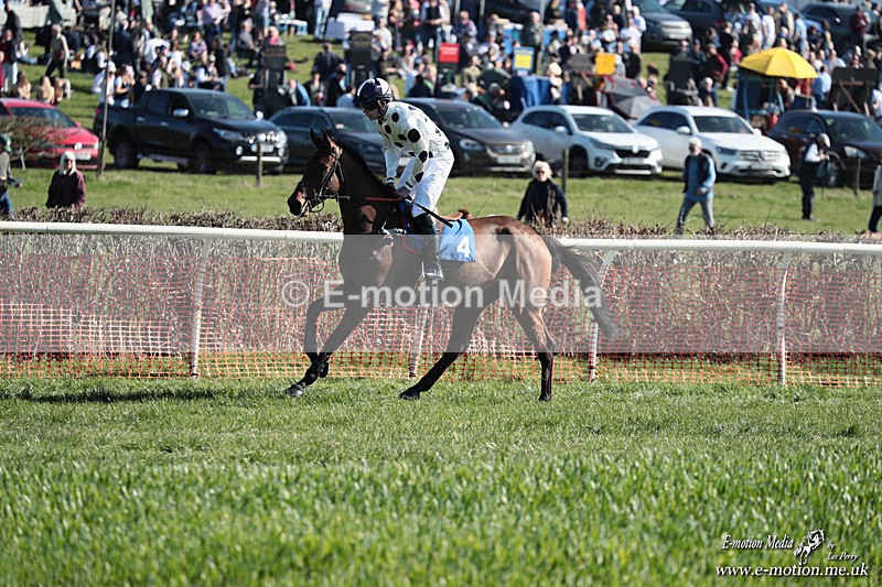 PtP 210326 260 - VWH Cirencester Races 21/03/26