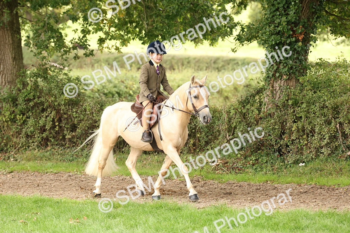 SBM_62993 - S64 - Foreign Breeds Ridden