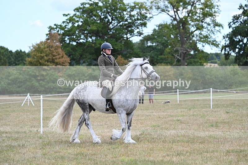 WJ7_4666 - Class 12 Ridden Cob