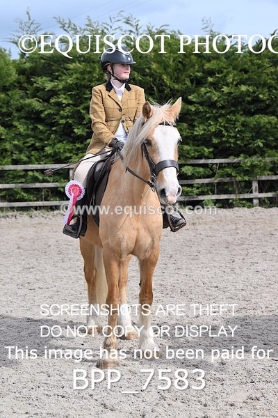 BPP_7583 - RING 1  (RIDDEN HORSES / IN HAND / VETERAN ETC)