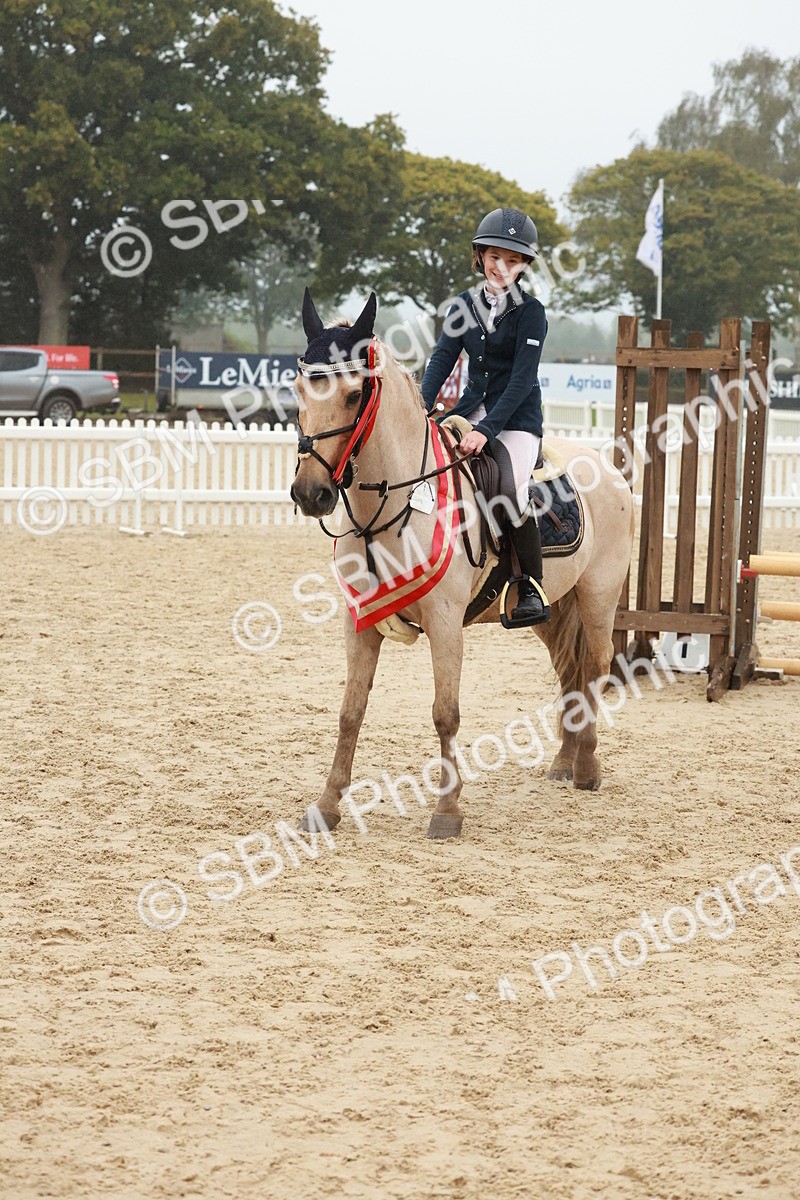SBM_73487 - Supreme Championship Junior Pony 60cm & 65cm