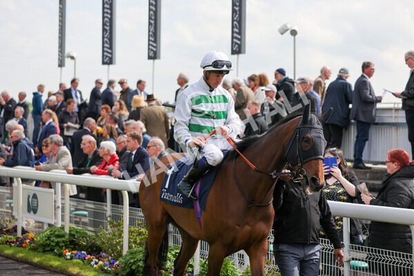 yr11052022r4-13 - Race 4 3.35pm Tattersalls Musidora Stakes