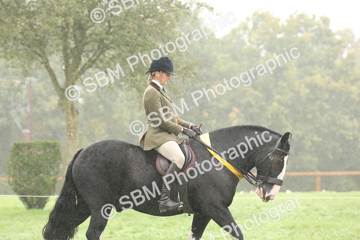 SBM_72882 - Ridden Horse Supreme Championship