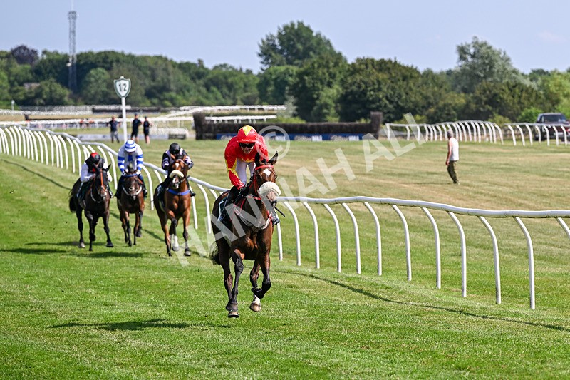 080726-Race 5-Sugarpiehoneybunch-7545 - Race 5 16.00pm Bet At racingtv.com Handicap