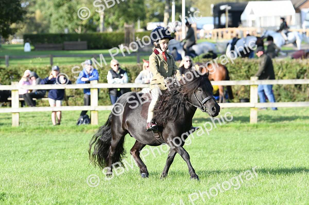SBM_54058 - S23 - 1st Ridden Mountain & Moorland Pony