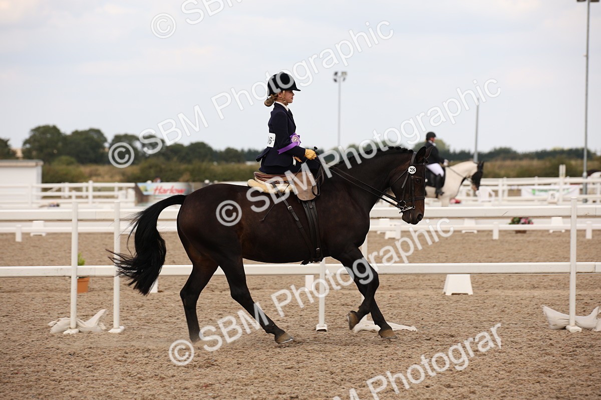 SBM_05533 - Class 22 SSA Equitation