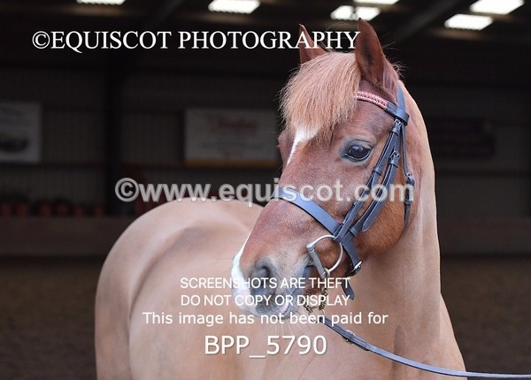 BPP_5790 - Sarah Page