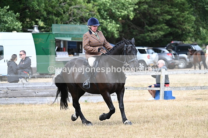 WJ7_1314 - Class 8 Ridden Veterans