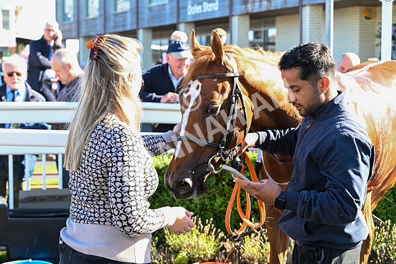 300926-Race 2-Gold Key-6072 - Race 2 2.32pm EBF Maiden Stakes