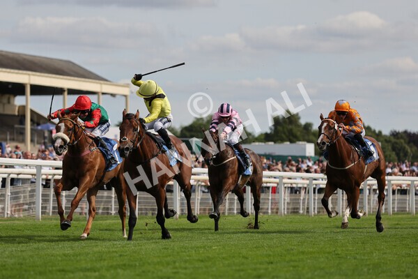 yr08072022r5-8 - Race 5 4.25pm Azets Stakes