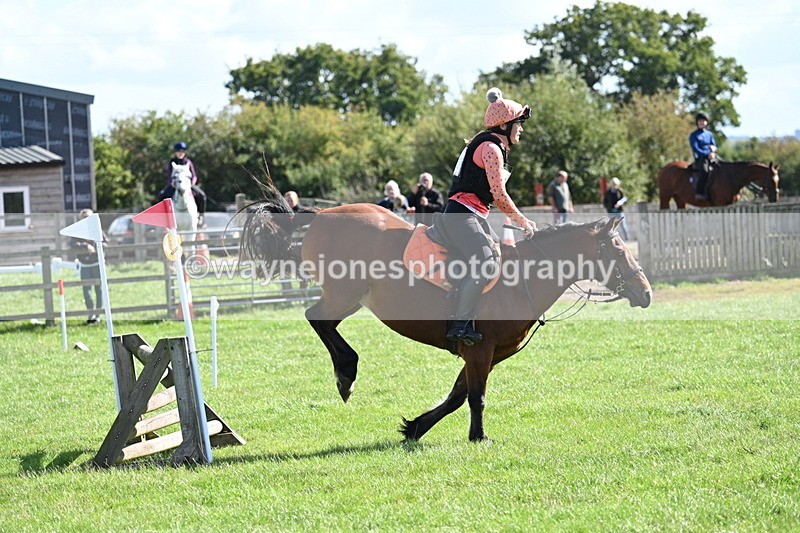 WJ7_1351 - Time 13:56 to 14:24