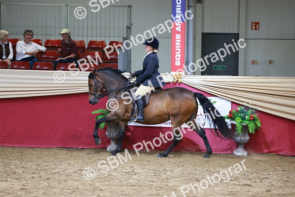 SBM_18756 - Class 952 - M&M Ridden Supreme Final