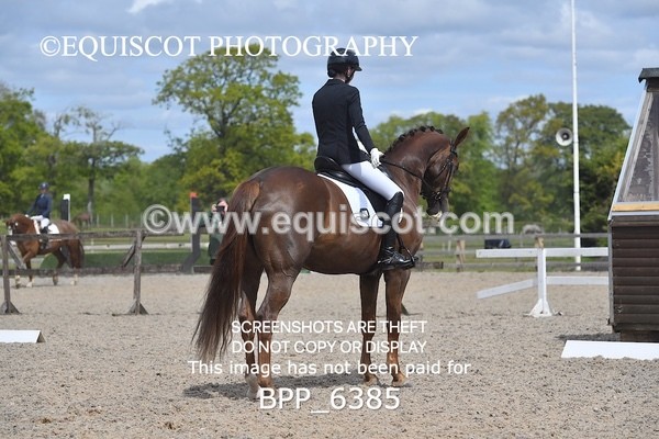 BPP_6385 - 33 N BAXTER