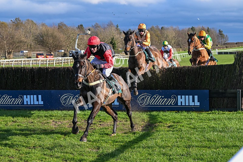 270224-Race 2-Prairie Wolf-3185 - Race 2