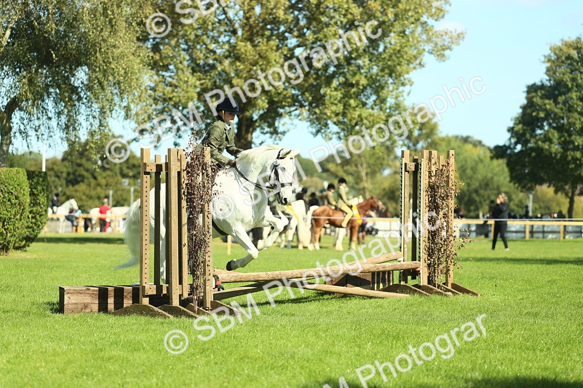SBM_39170 - S29 - Novice & Newcomers Working Hunter Pony