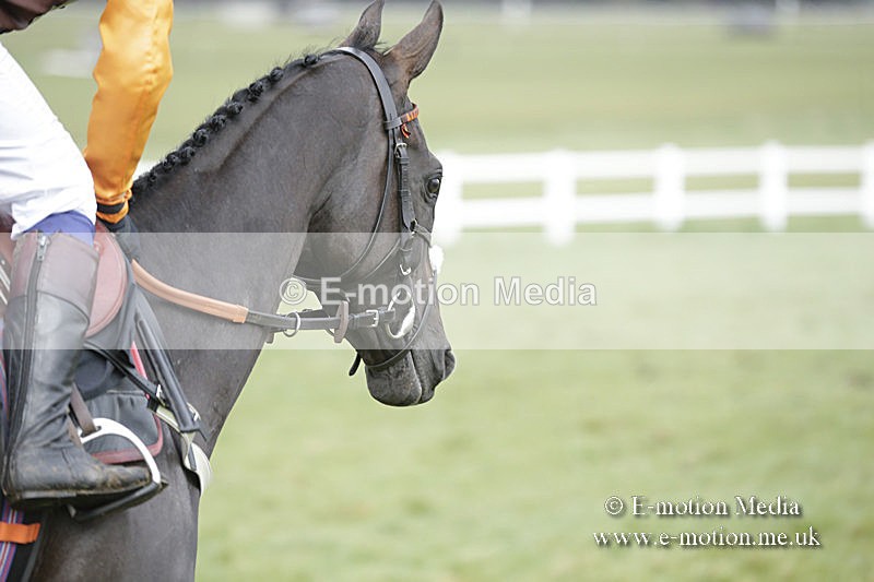 PtP 150320 0466 - New Forest Point-to-Point Larkhill 15/03/20