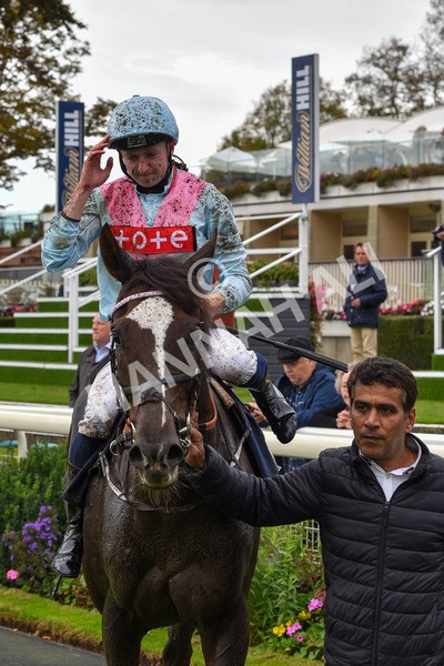 131023-Race 2-Lordship-9253 - Race 2 2.40pm William Hill Finale Handicap