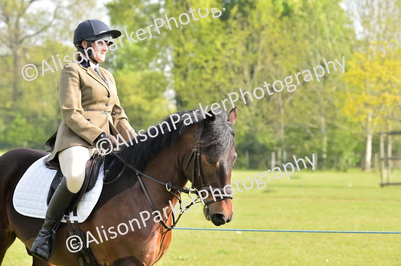 20260426-0861 - Class 18 - Novice Showing